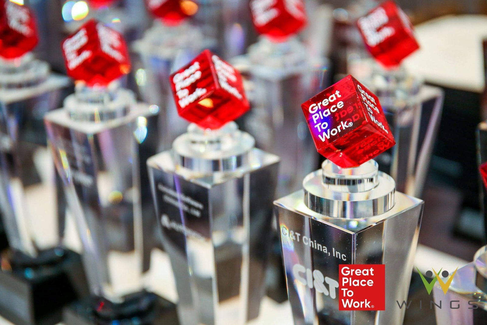 CI&T China Great Place to Work trophies