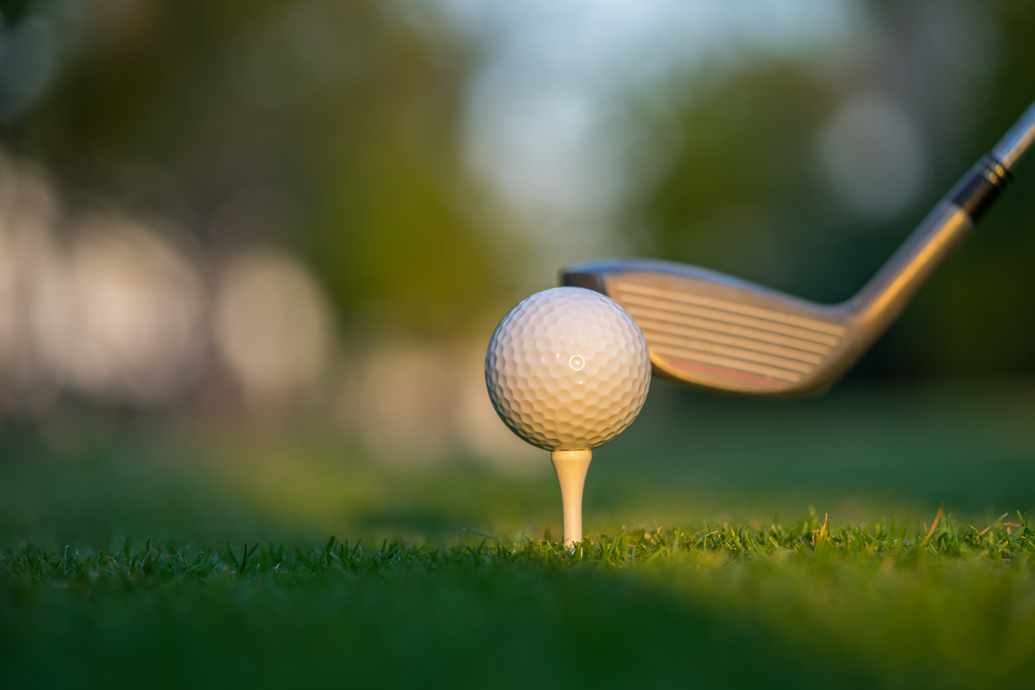 Golf ball on green grass ready to be struck on golf course