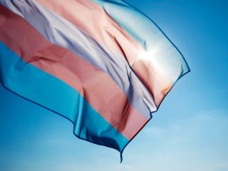 Bandeira Orgulho Trans