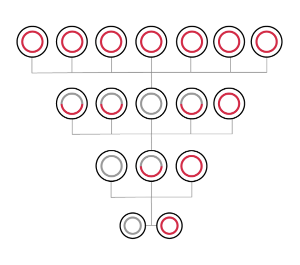 Scale scheme