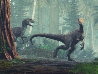 Velociraptors in the forest