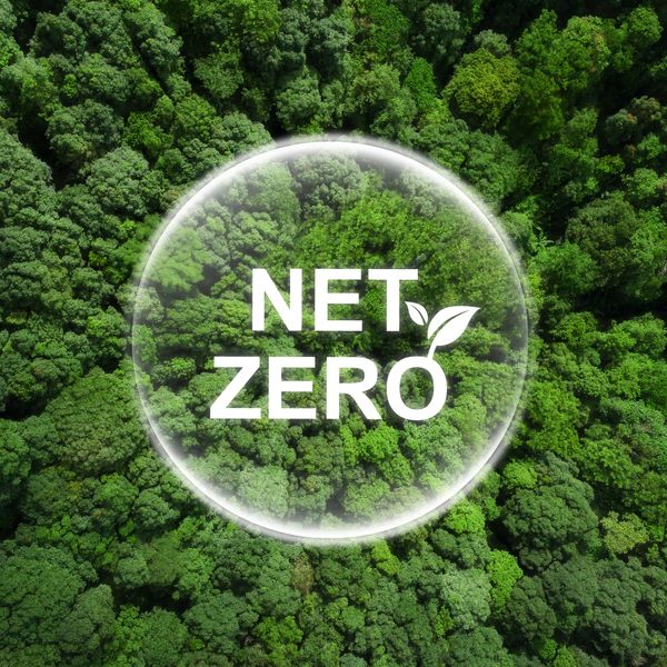 Foto sobrevoando uma floresta. Ao centro, em letras brancas escrito "Net Zero". 