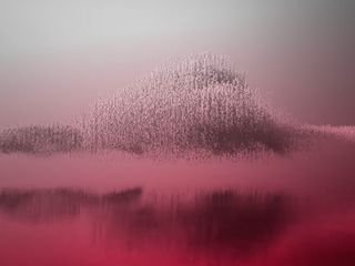 Big Data Wave
