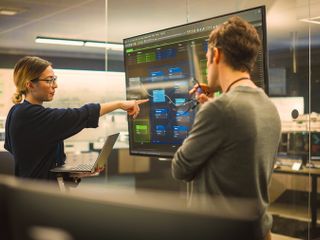 Two Diverse Software Developers