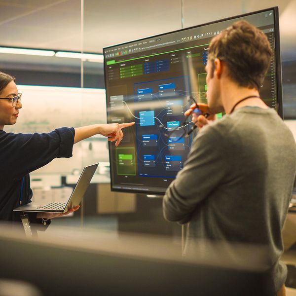 Two Diverse Software Developers