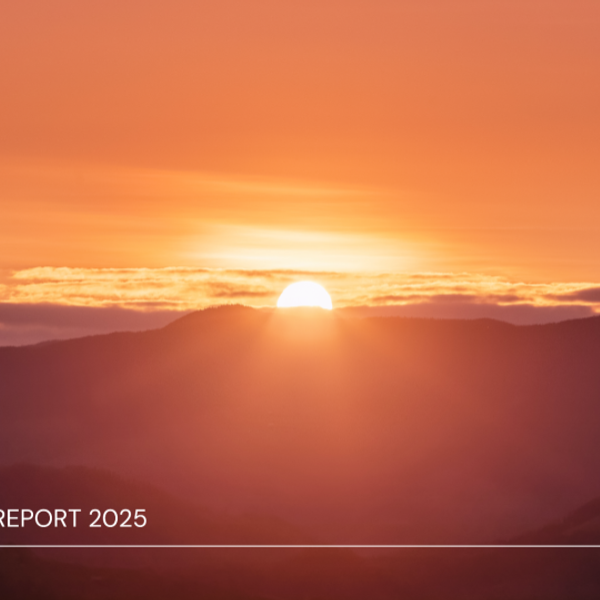 capa relat&oacute;rio esg