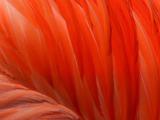 Global ESG Report 2025.png