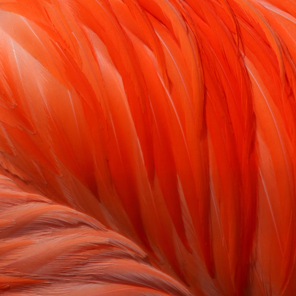 Global ESG Report 2025.png