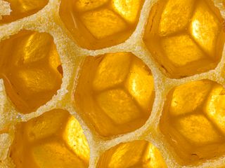 Macro view of golden honeycomb filled with honey