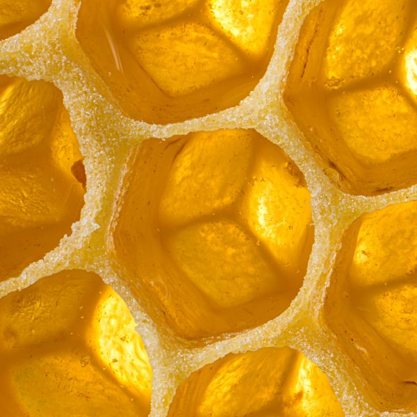 Macro view of golden honeycomb filled with honey