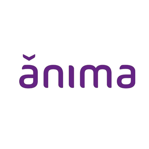 Anima Holding